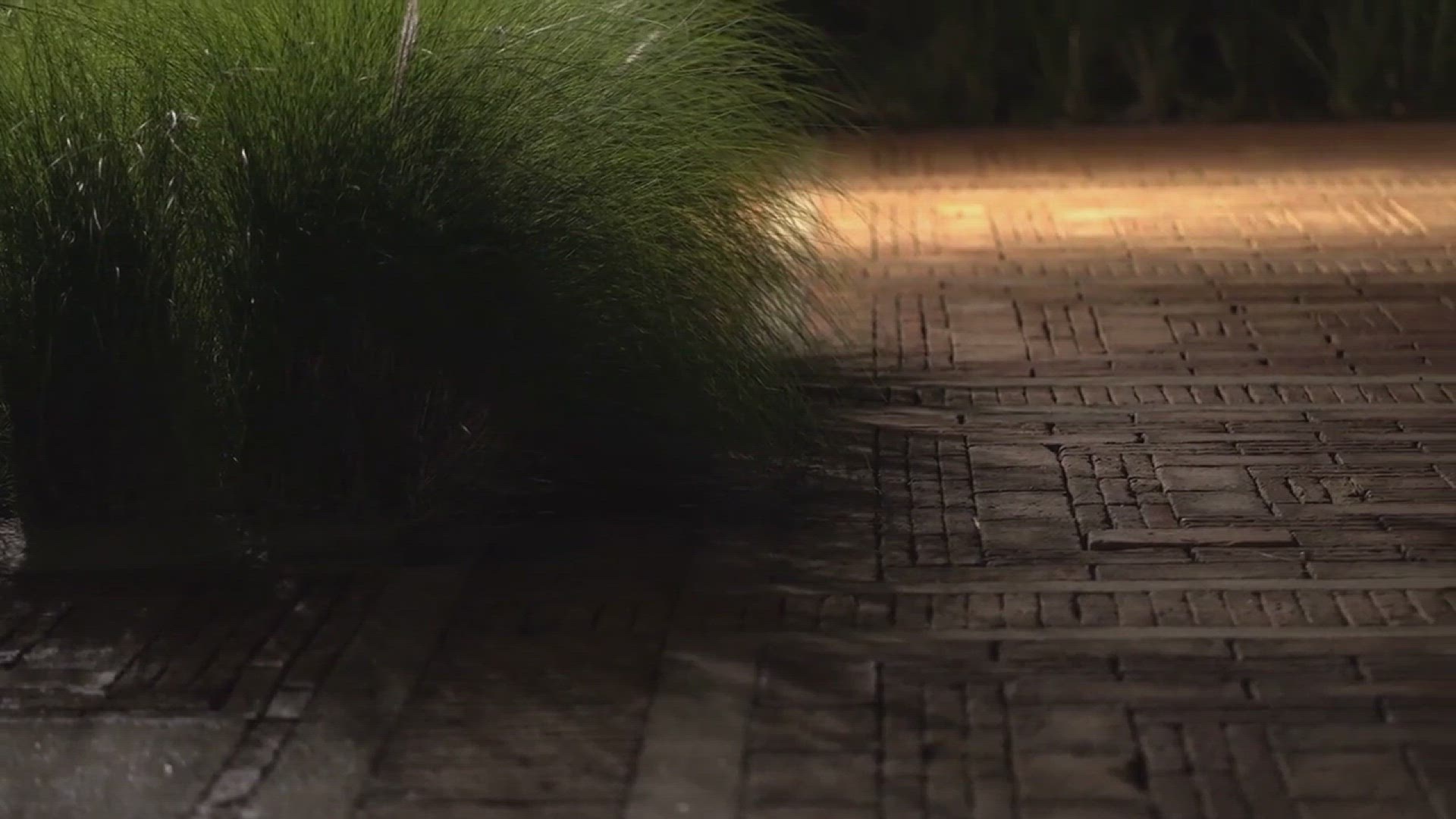 'Video thumbnail for Modern Garden Path Ideas'