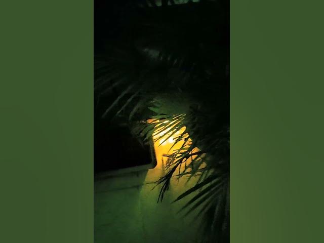 Video thumbnail for Discover the Charm of Dawn Meerut: A Local's Perspective