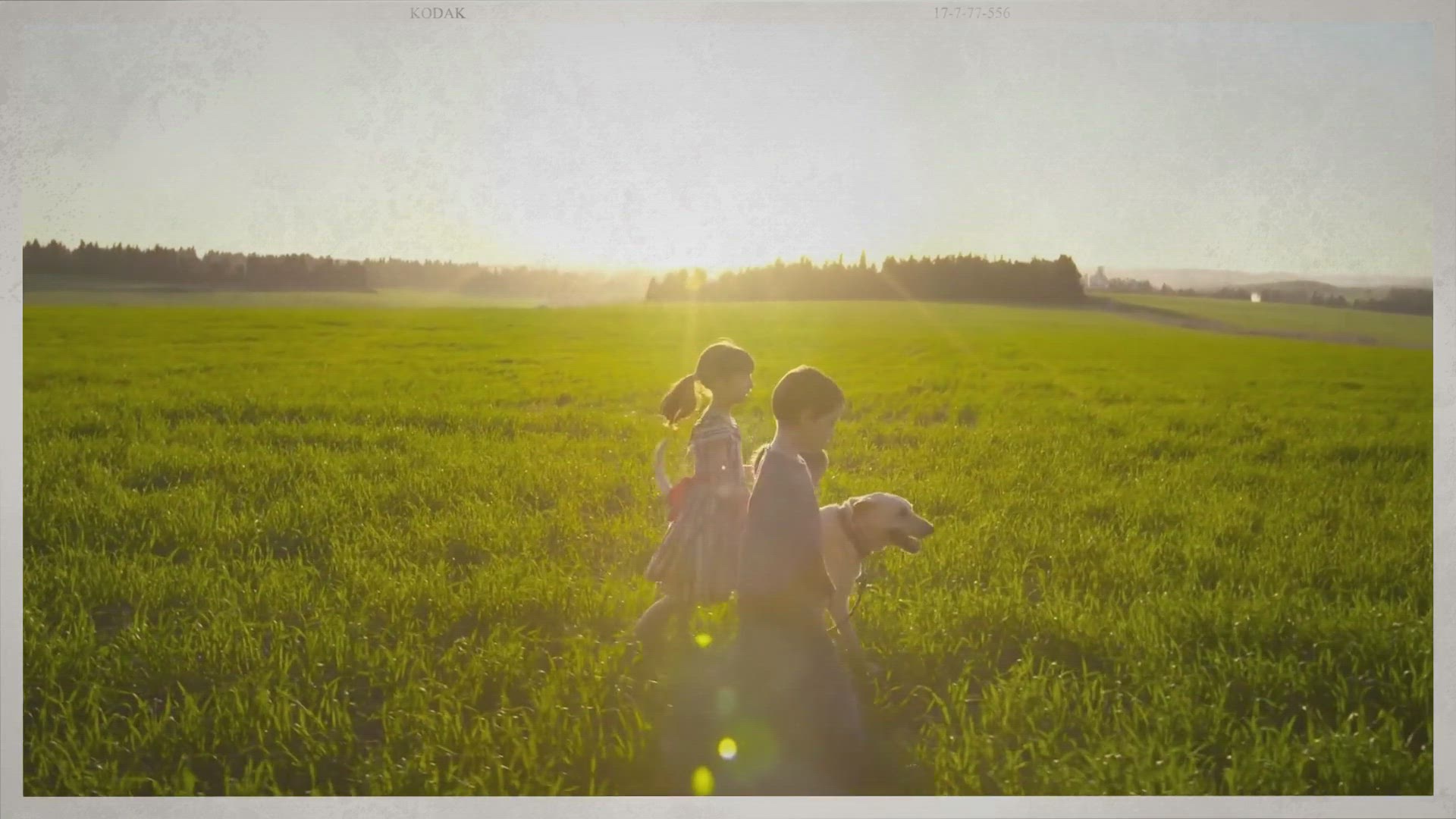 Video thumbnail for Untitled