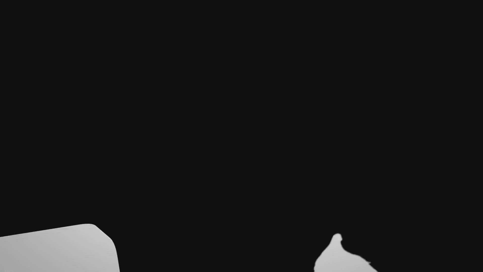 Video thumbnail for Exciting Youth Group Kick Off Event: Get Ready to Join!