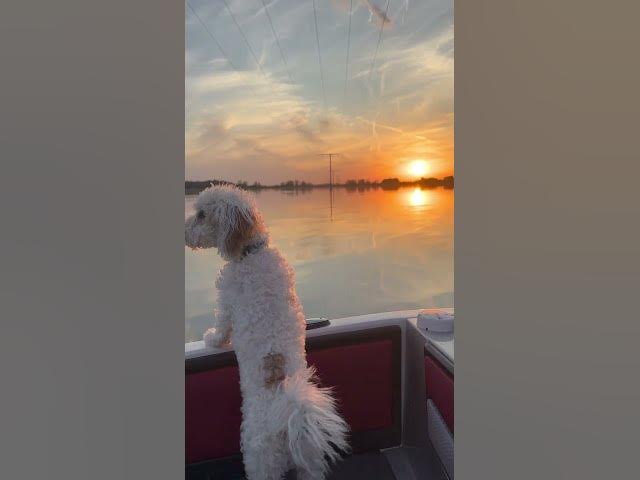 Video thumbnail for Sunset boat rides #shorts