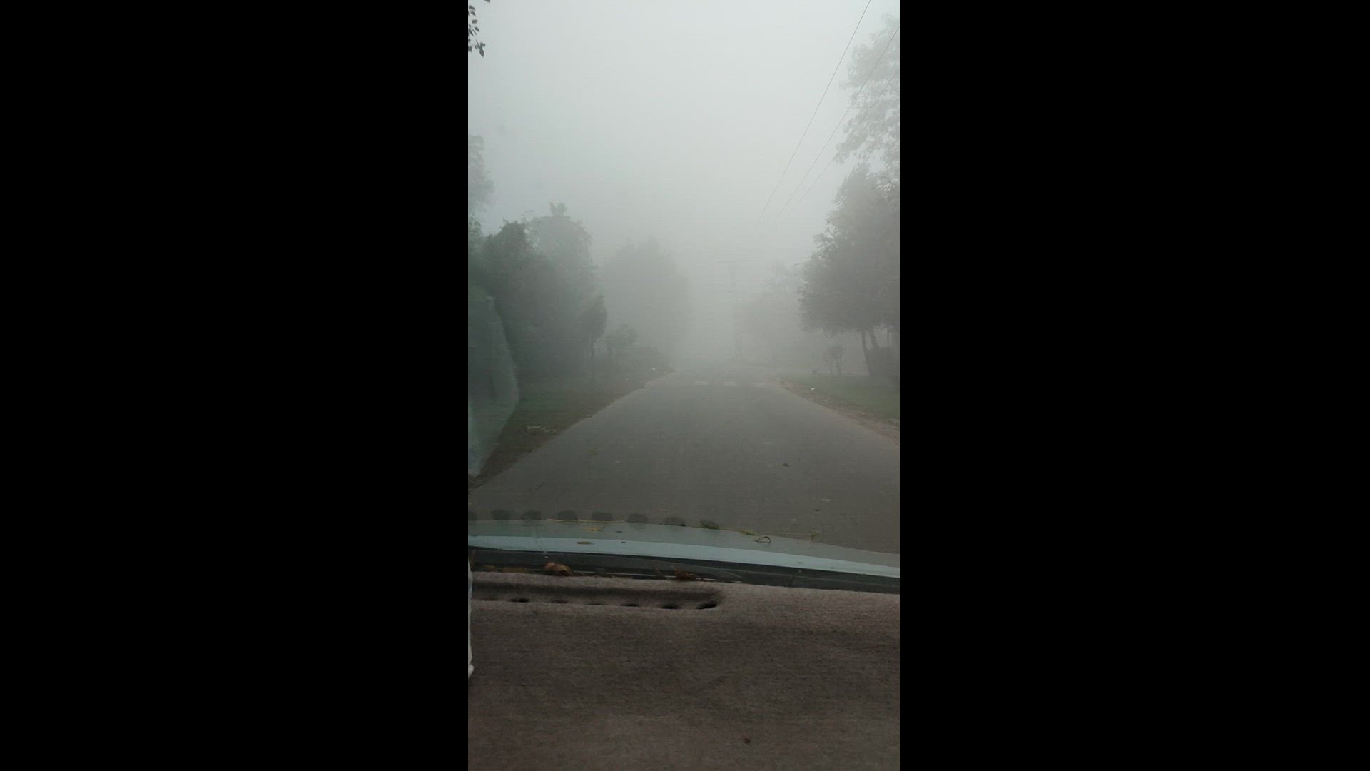 Video thumbnail for VID_20241114_071119