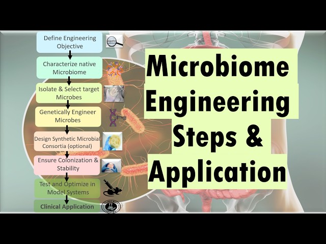 Video thumbnail for What is Microbiome Engineering? Steps involved and Applications