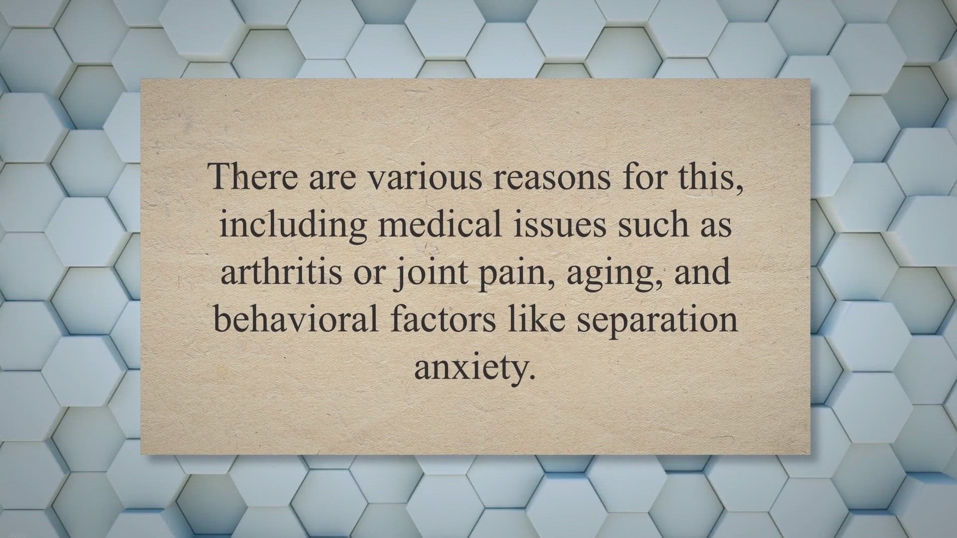 Video thumbnail for Why Does My Dog Go To Bed So Early?