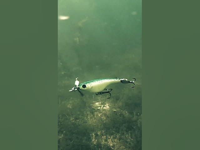 Video thumbnail for SPYBAIT Underwater!
