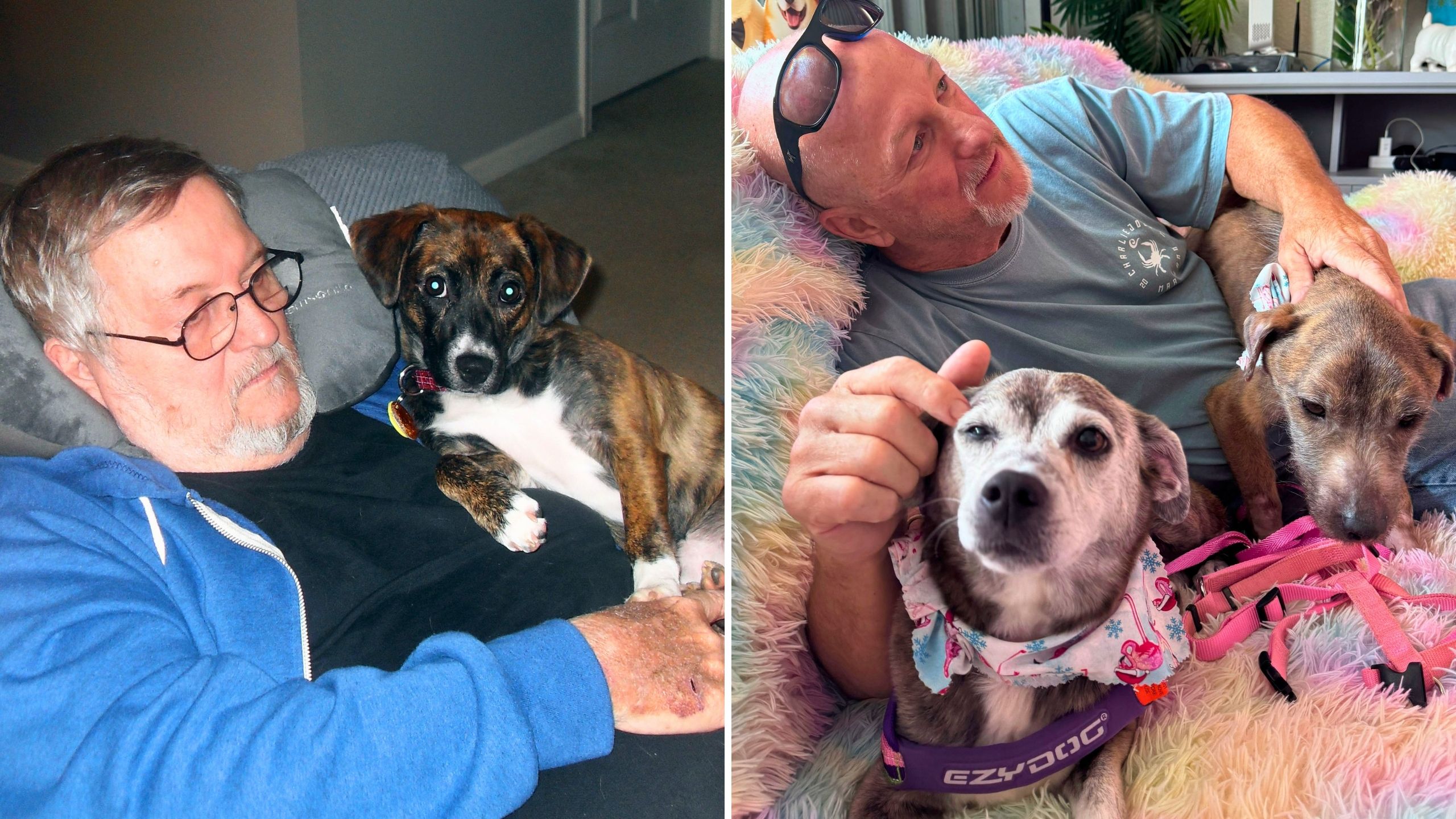 Video thumbnail for Son Rescues Late Dad's Dog After 10 Years Apart And Adopts Her BFF