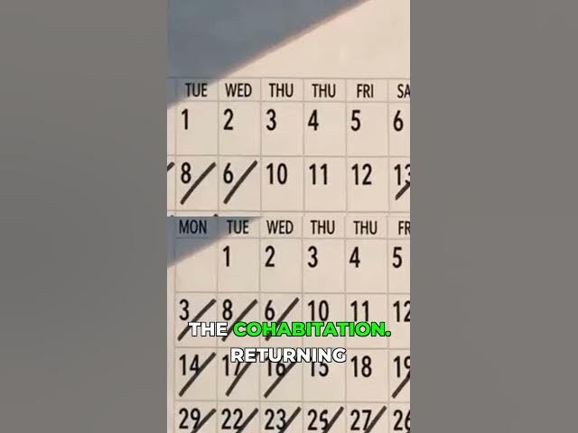 Video thumbnail for I Ordered a Robot Maid and Got THIS Instead!