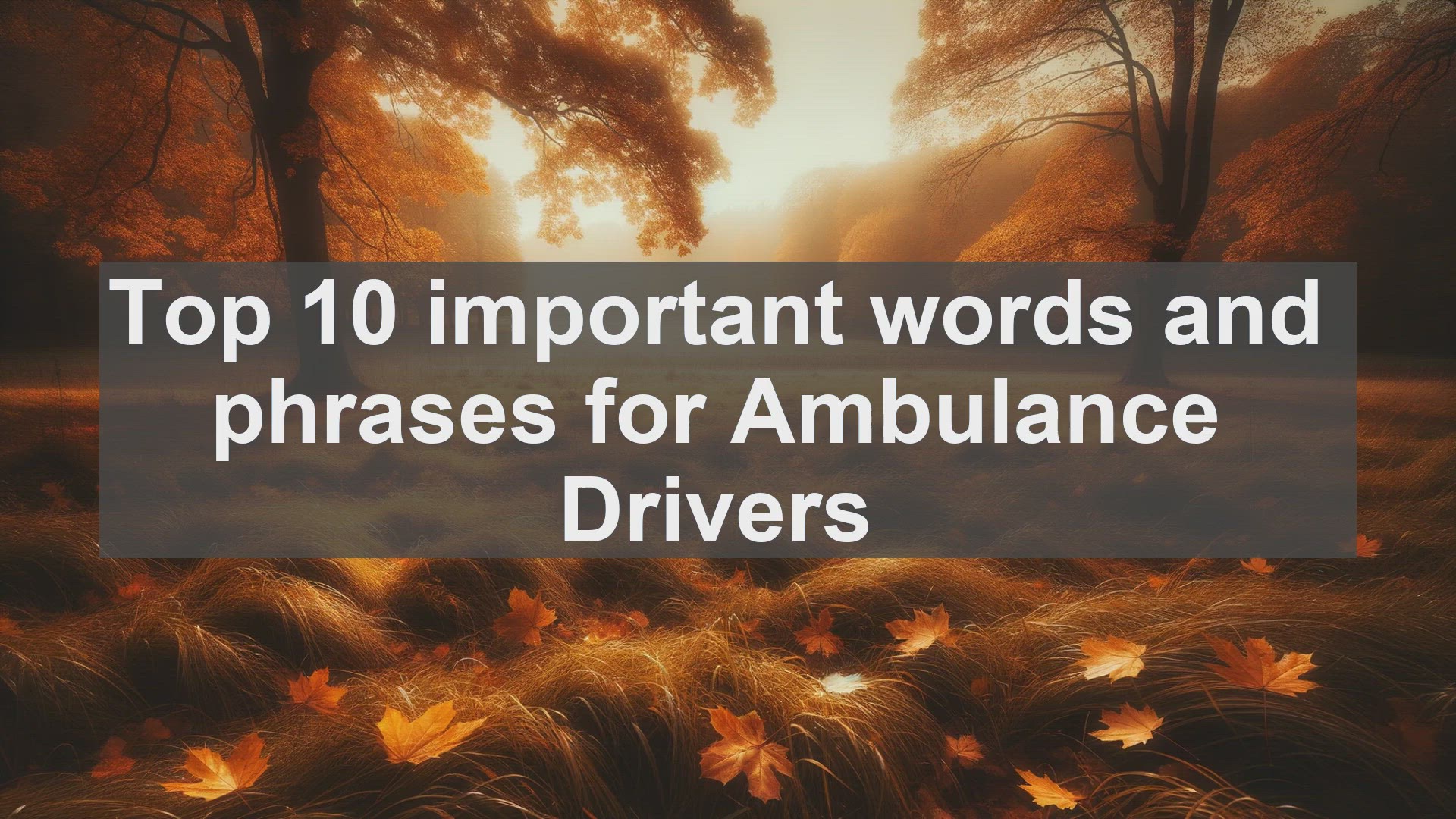 'Video thumbnail for Top 10 important words and phrases for Ambulance Drivers'