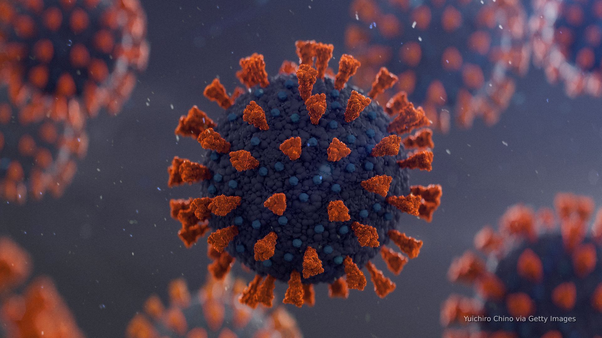 Video thumbnail for Trump admin task force weighing declassifying COVID-19 origins info