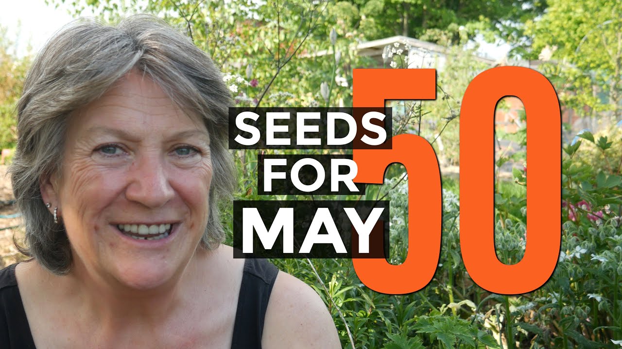 Video thumbnail for What To Sow in MAY | Get The Most From Your Vegetable Garden (2021)