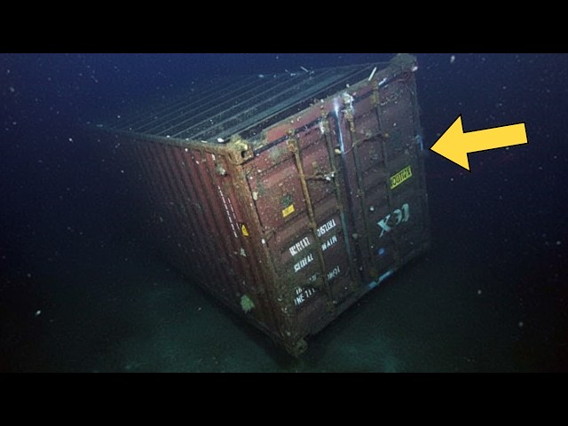 Video thumbnail for Underwater Robot Captures Sunken Container, Researchers Turn Pale When They Open It