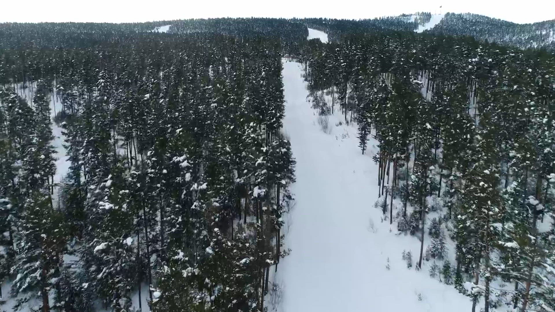 Video thumbnail for mixkit-long-clearing-through-a-forest-15607-hd-ready