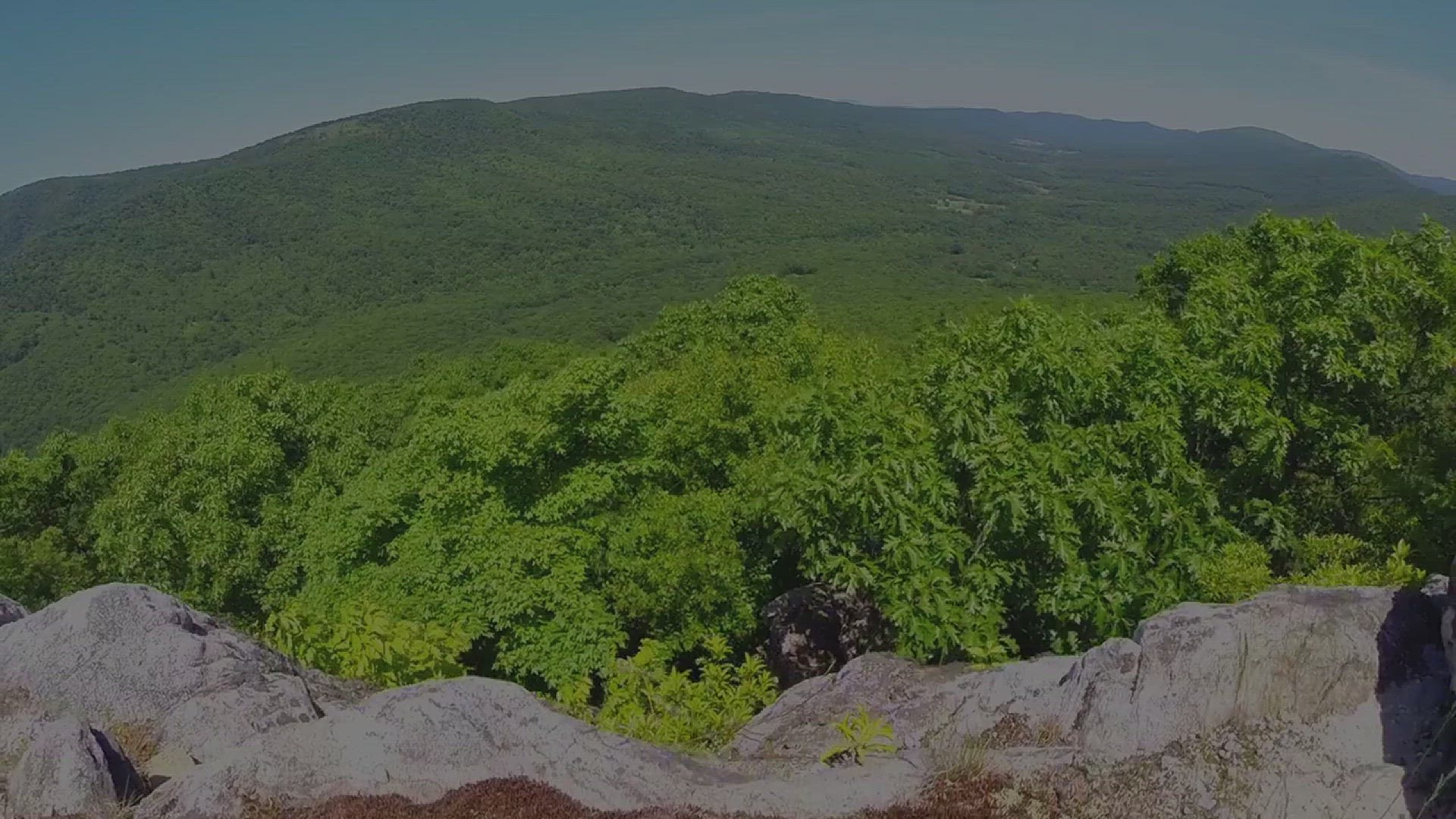 Video thumbnail for Unsolved_Tragedy_in_Shenandoah