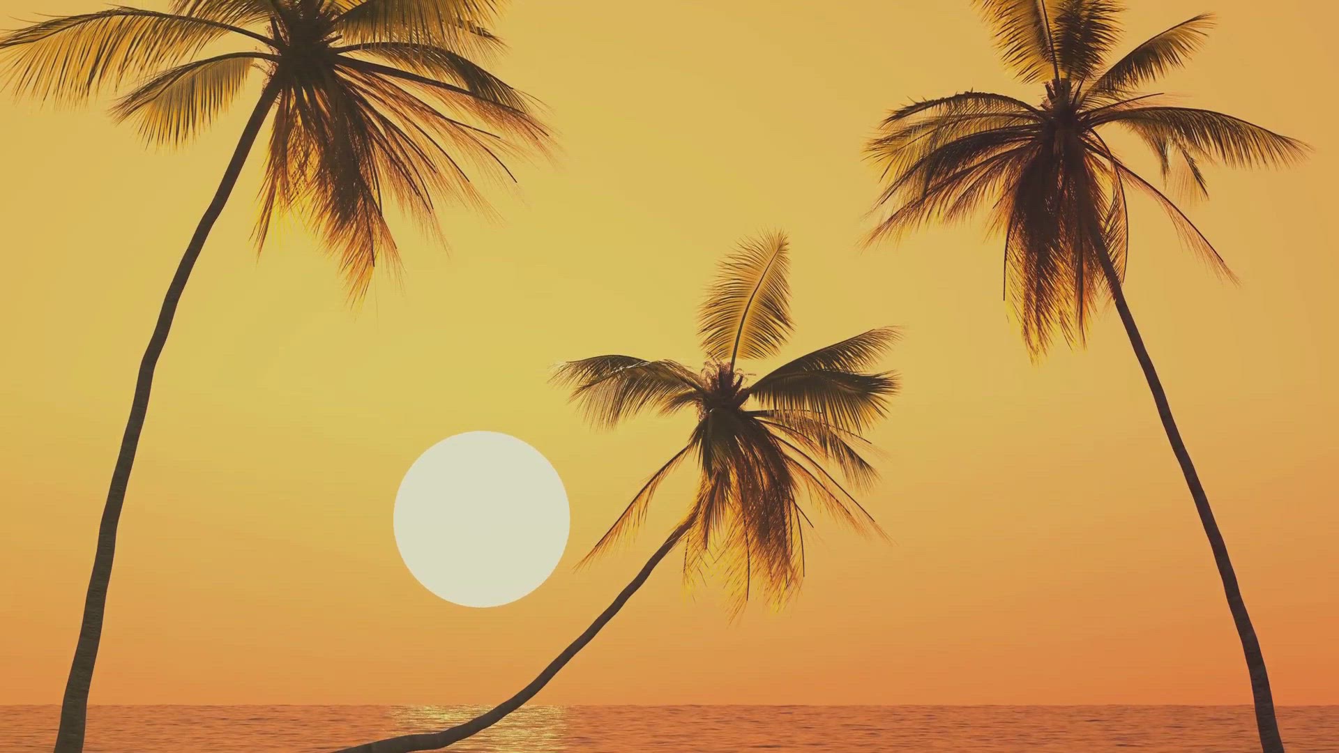 Video thumbnail for Travel Advisories for 2024 - Watch This Before You Book Your Trip