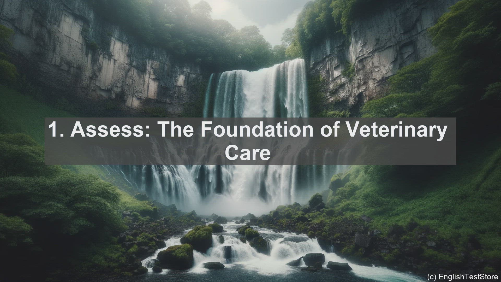 'Video thumbnail for Top 10 English Verbs for Veterinarian Technician'