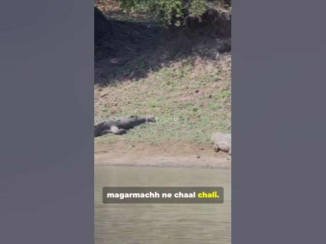 Video thumbnail for 🐒🐒 "बंदर की चतुराई"🤔🙊🙉