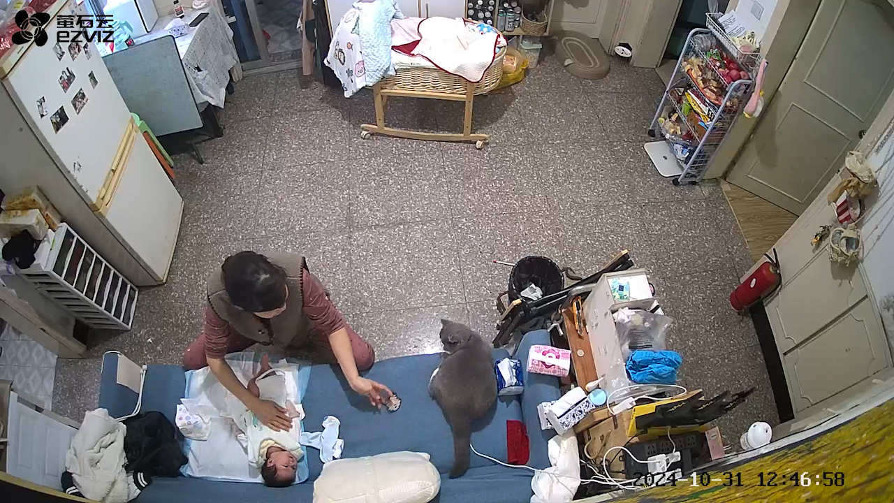 Video thumbnail for Cat Brings Brooch to Grandmother While Baby Cries