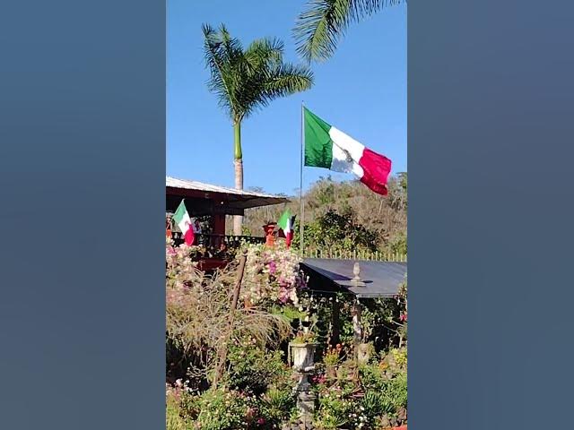 Video thumbnail for Mexican Flag Flying at Jardín Bótanico Vallarta