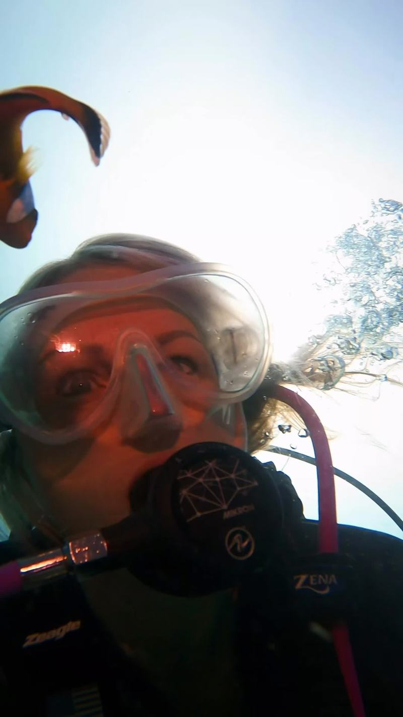 Video thumbnail for Curious Saddleback Clownfish Inspects Diver in Lembeh Strait