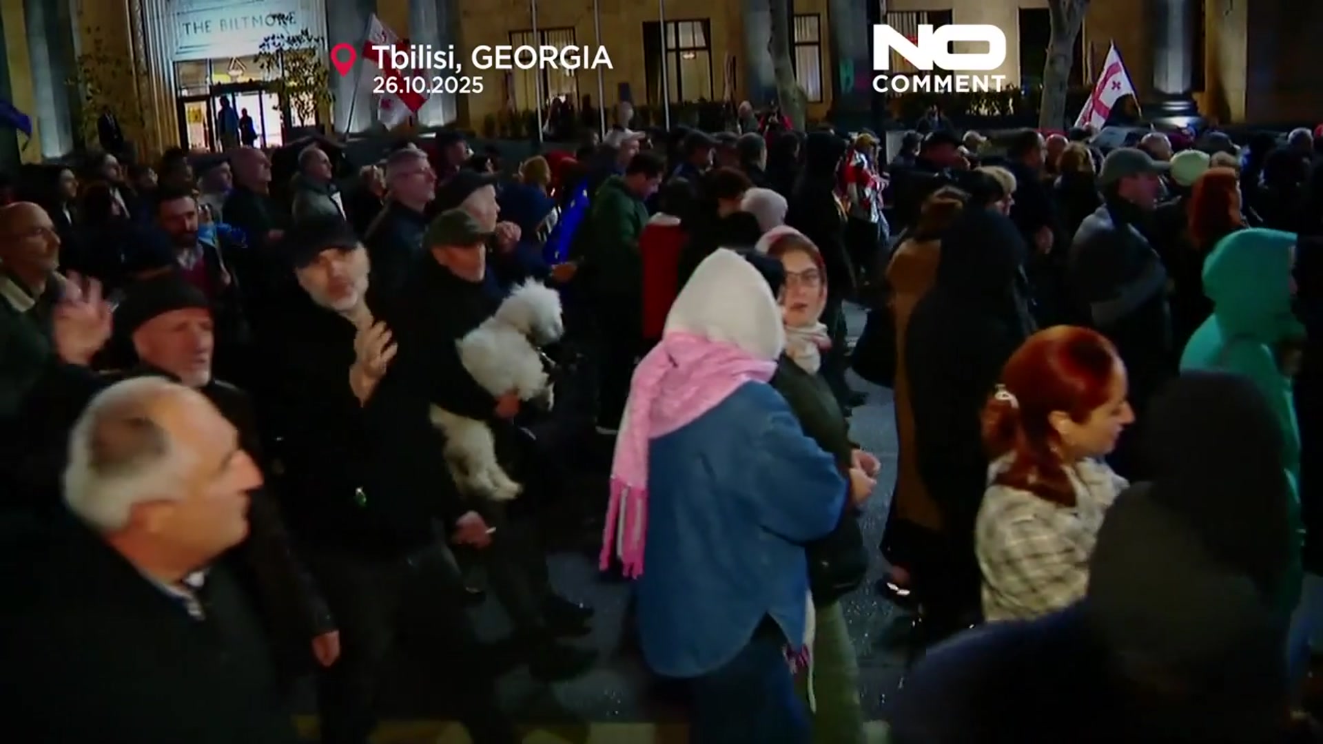 'Video thumbnail for Protesters in Tblisi call for fair elections and European future'