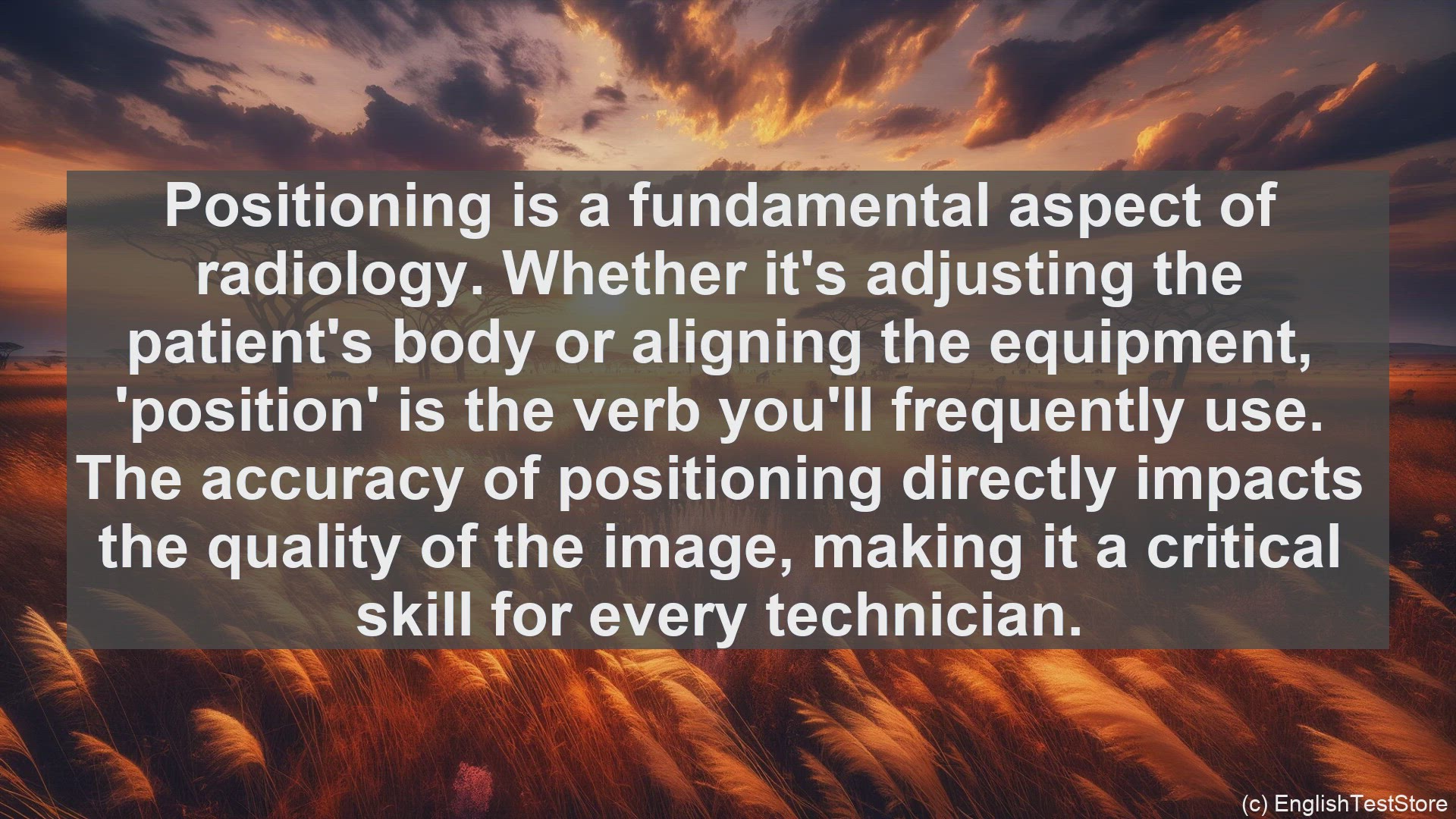 'Video thumbnail for Top 10 English Verbs for Scientific Linguist'