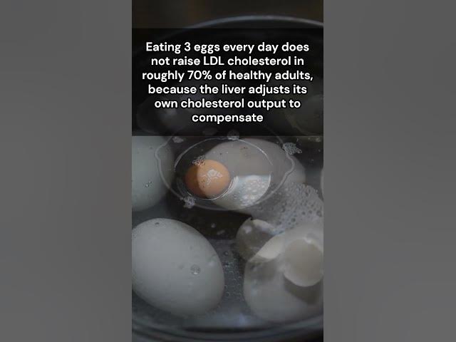 Video thumbnail for You have been avoiding eggs for no reason
