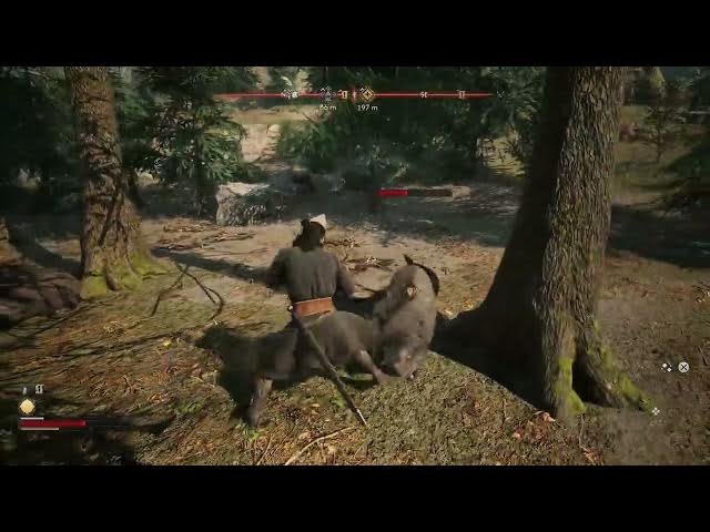 Video thumbnail for The Blood of Dawnwalker - Prologue: Fist Fight Stance: Fight Boars With Fists | Unblockable Attacks