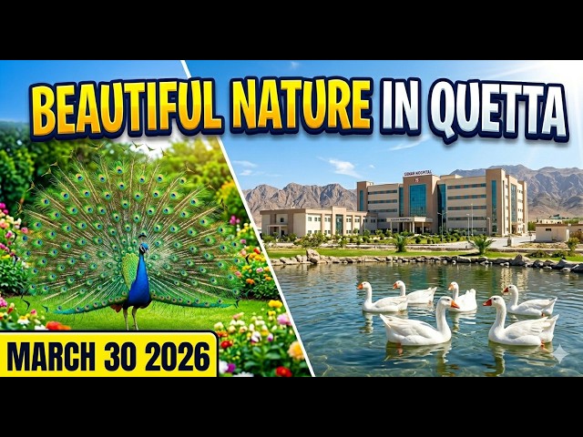 Video thumbnail for Most Beautiful View of Cenar Hospital Quetta   Balochistan Nature Vlog 🦚