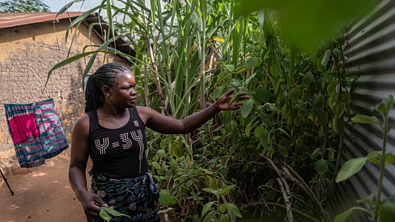 Video thumbnail for Rumors and mistrust persist over Ebola outbreak