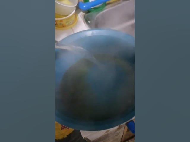 Video thumbnail for Steam inhalation for cough & cold cats Home Remedies for Cat Colds #catcold #meow #pets