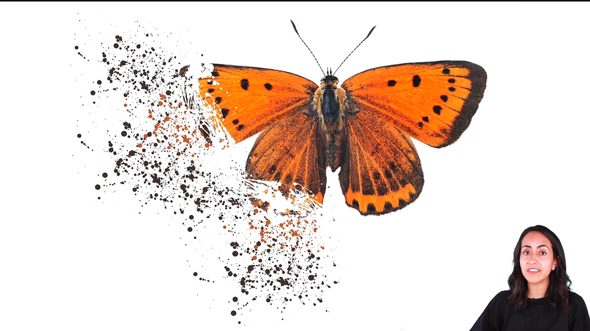 'Video thumbnail for How to Create a SHATTER EFFECT for FREE - Easy Creative Idea in Canva'