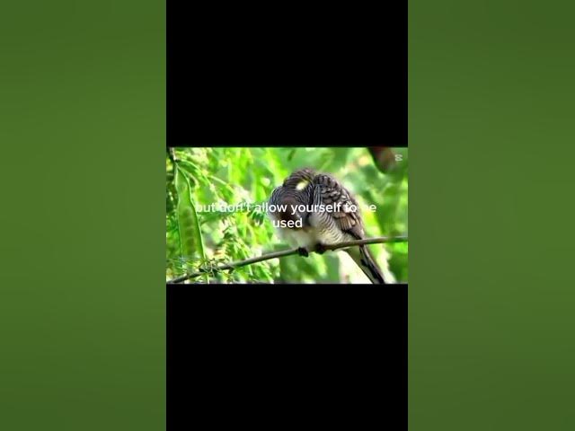 Video thumbnail for Give when someone is in need.