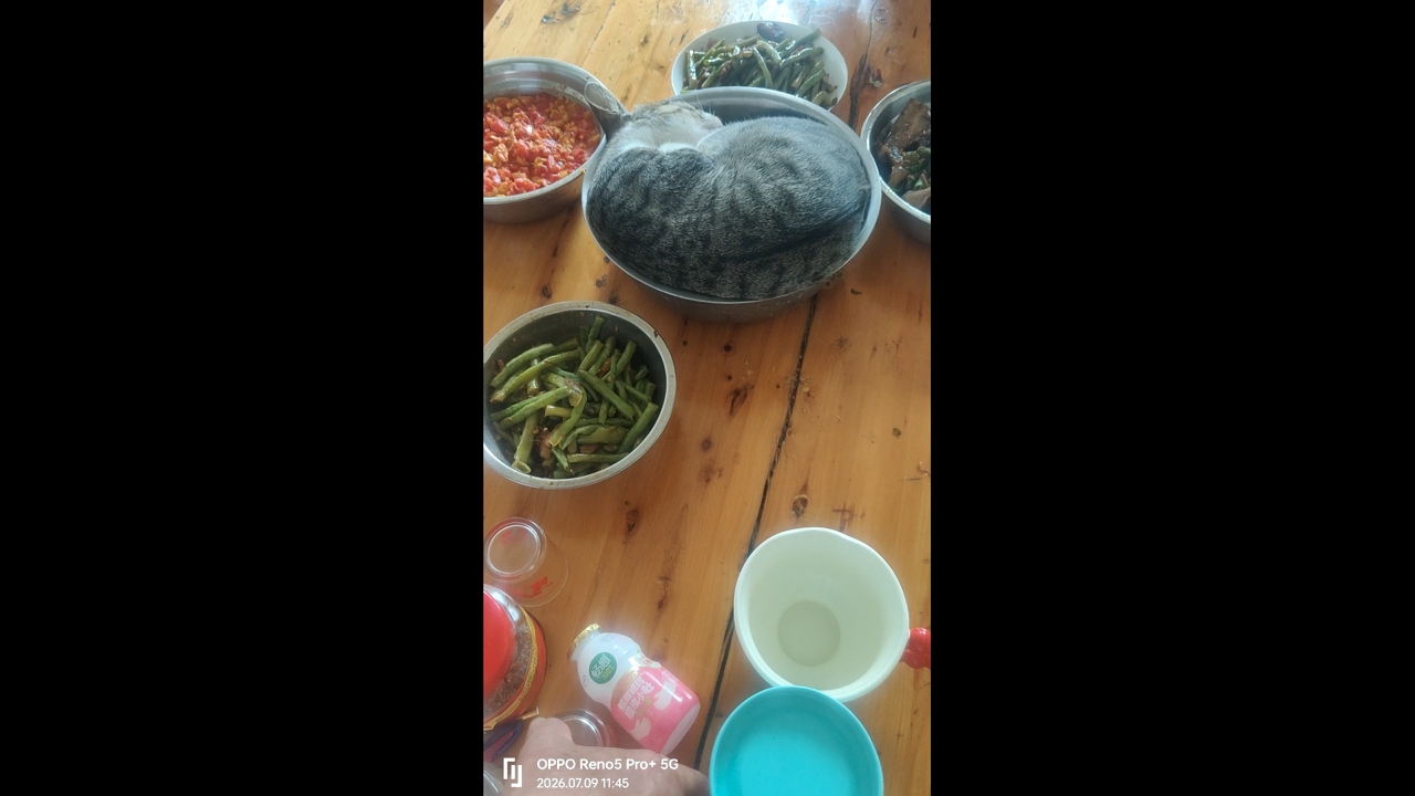 Video thumbnail for Sleeping Cat Becomes Bowl Centerpiece in Sichuan