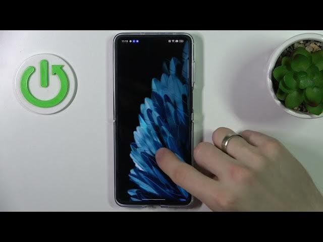 Video thumbnail for OPPO Find N2 Flip - Best 3 System Themes
