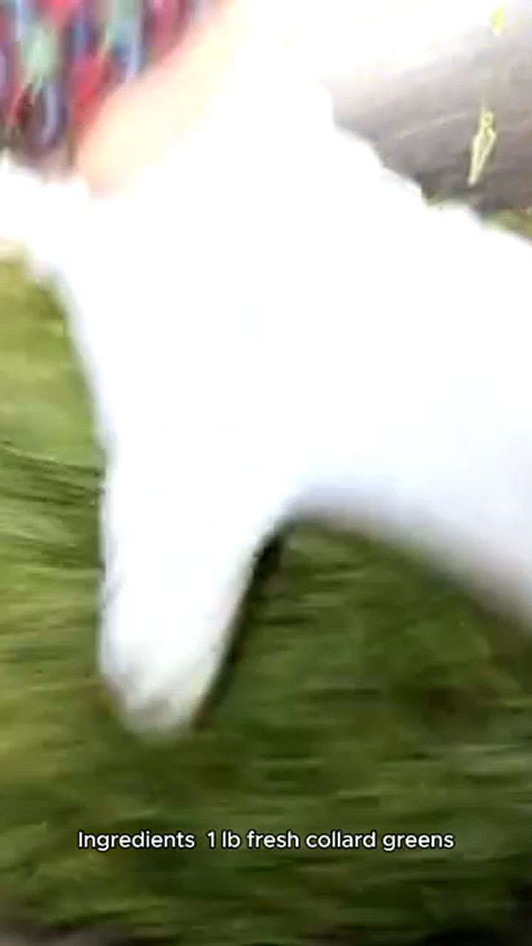 Video thumbnail for Bacon collard Greens recipe