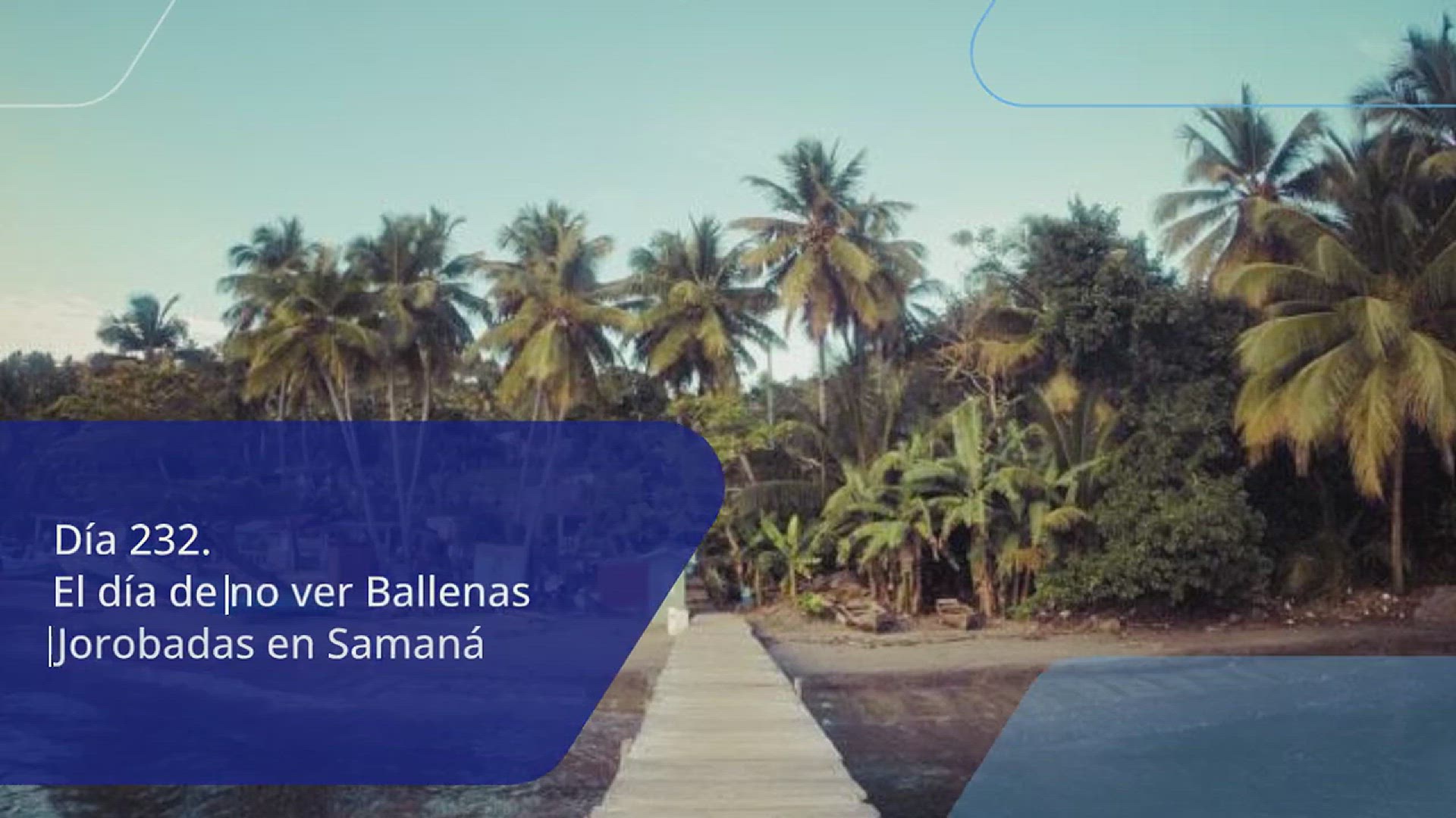 Video thumbnail for Día 232. El día de [no] ver Ballenas Jorobadas en Samaná