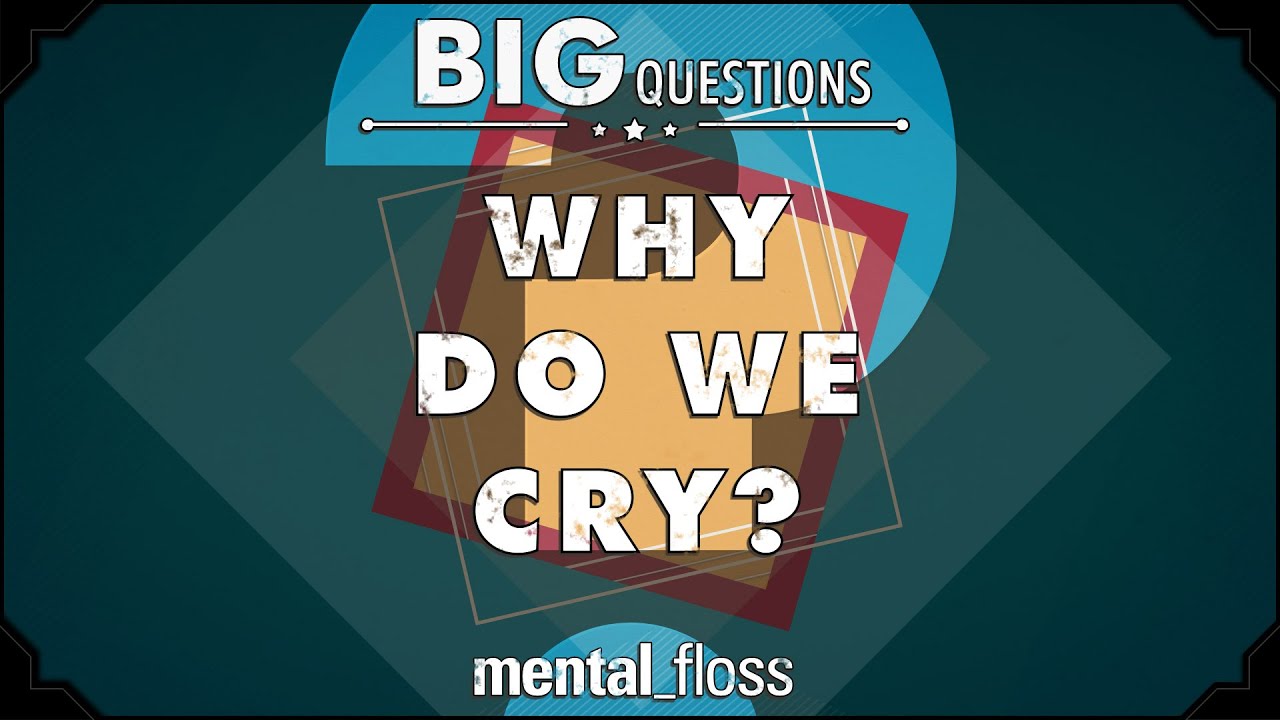 Video thumbnail for Why do we cry? - Big Questions - (Ep. 202) | Mental Floss