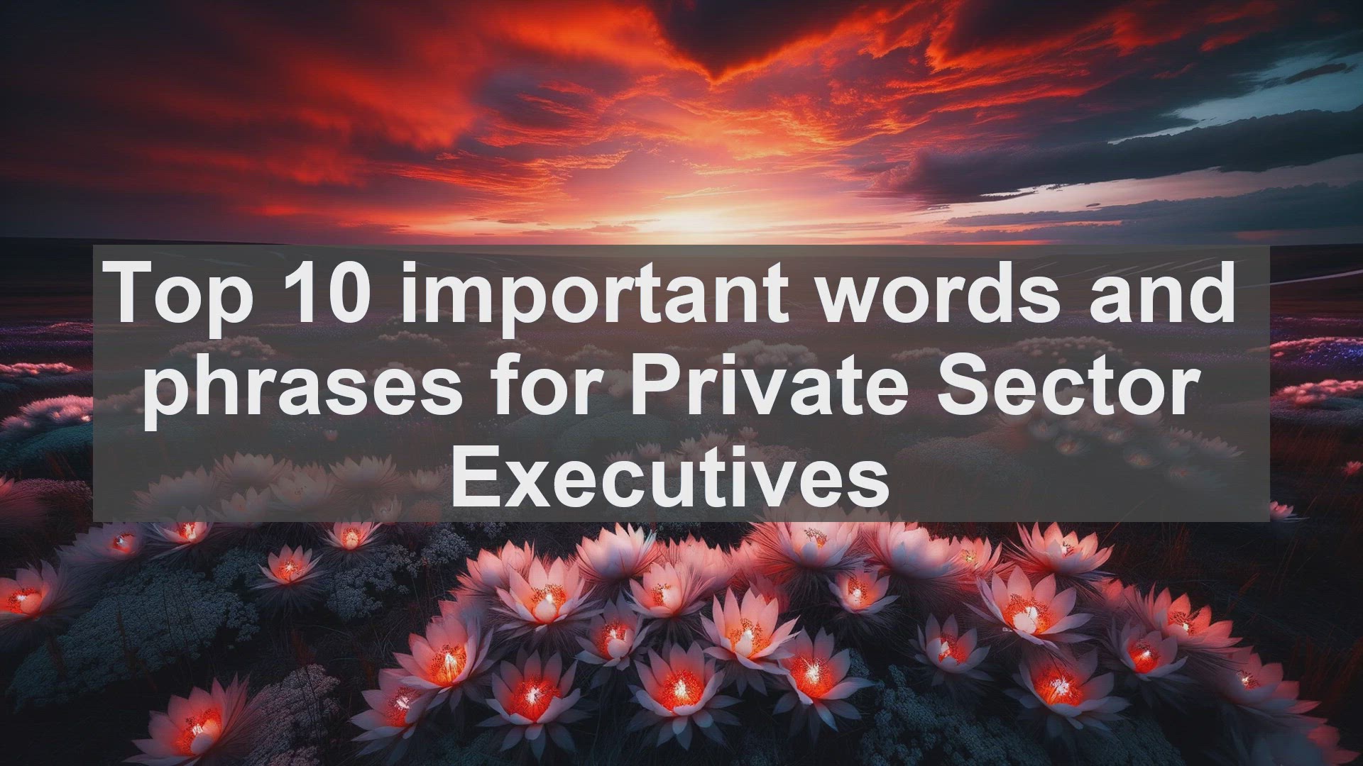 'Video thumbnail for Top 10 important words and phrases for Private Sector Executives'