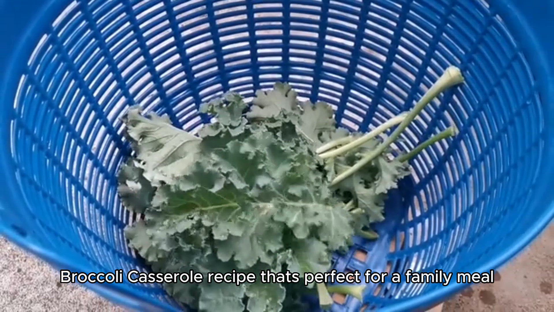 Video thumbnail for Brocolli Casserole Recipe