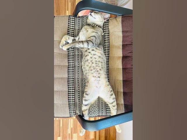 Video thumbnail for 9 กุมภาพันธ์ 2568