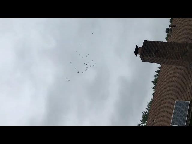 Video thumbnail for February 6, 2024