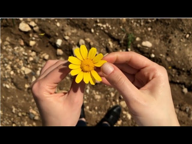 Video thumbnail for He Who Treads