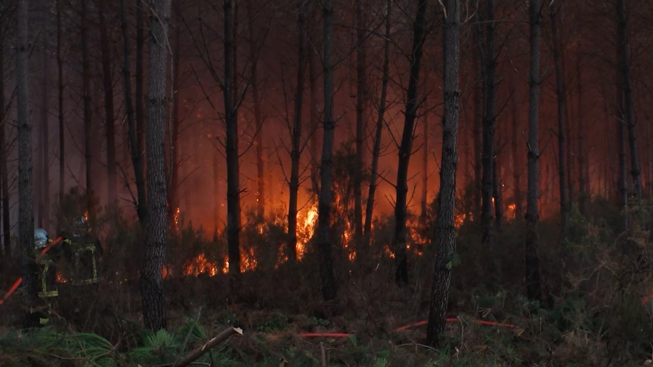 Video thumbnail for France: Firefighting operation continues as wildfire burns in southwest France.