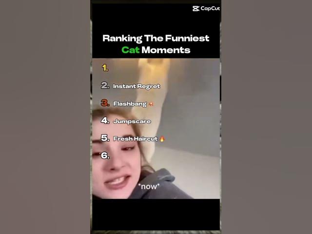 Video thumbnail for Meow