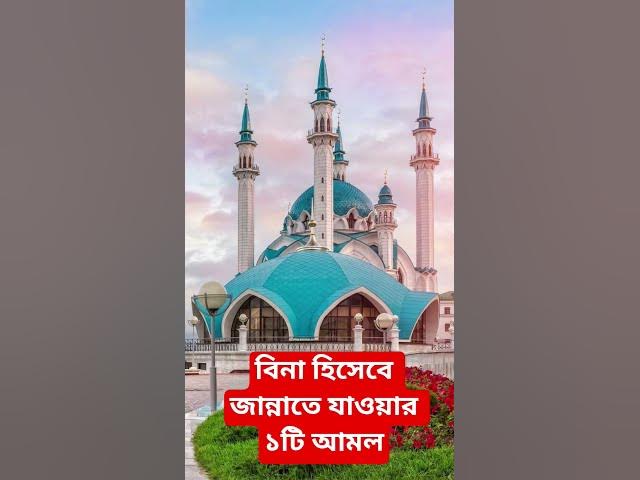 Video thumbnail for বিনা হিসেবে জান্নাতে যাওয়ার ১টি আমল#shorts #viral#sheikh_ahmadullah#islamicalortips