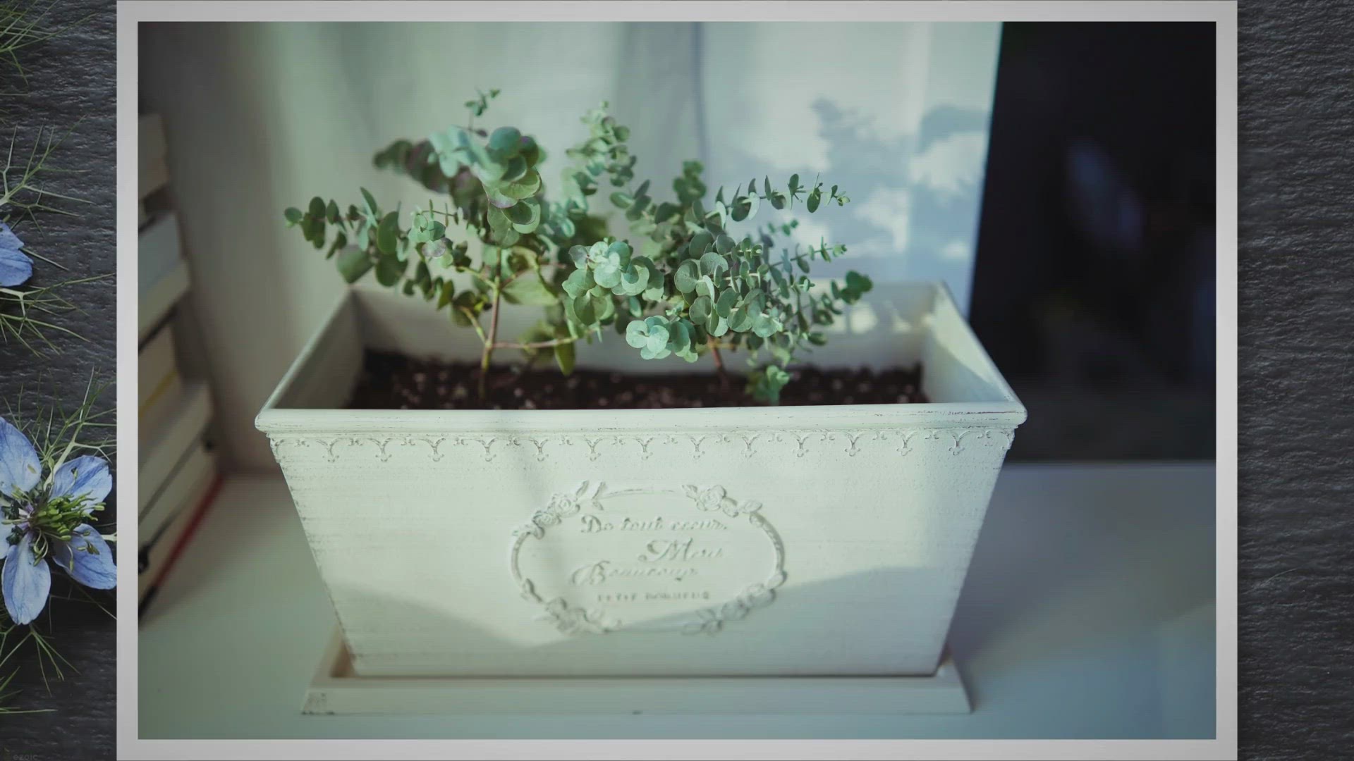 Video thumbnail for Best Plants For Kokedama: A Guide to Choosing the Perfect Greenery