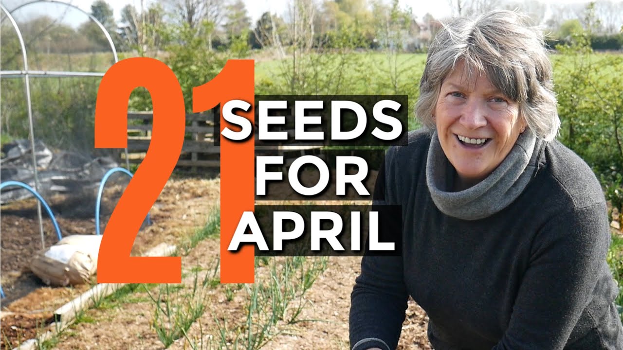 Video thumbnail for What To Sow In April | Easy to grow food