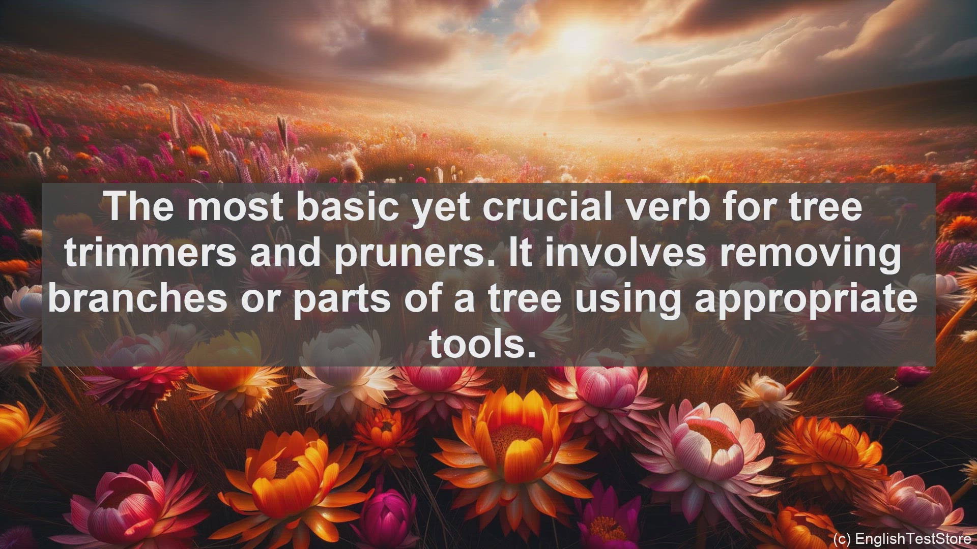 'Video thumbnail for Top 10 English Verbs for Tree Trimmers and Pruners'