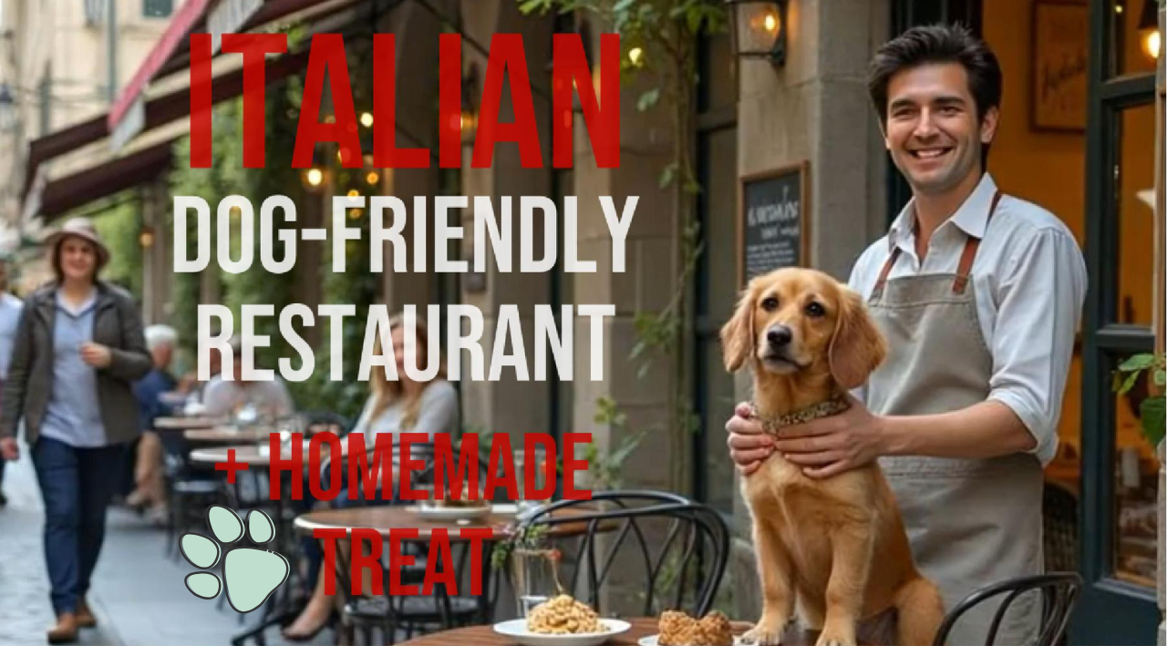 Video thumbnail for Easy Homemade Recipe for Dogs! | Italian-Inspired Dog Treats