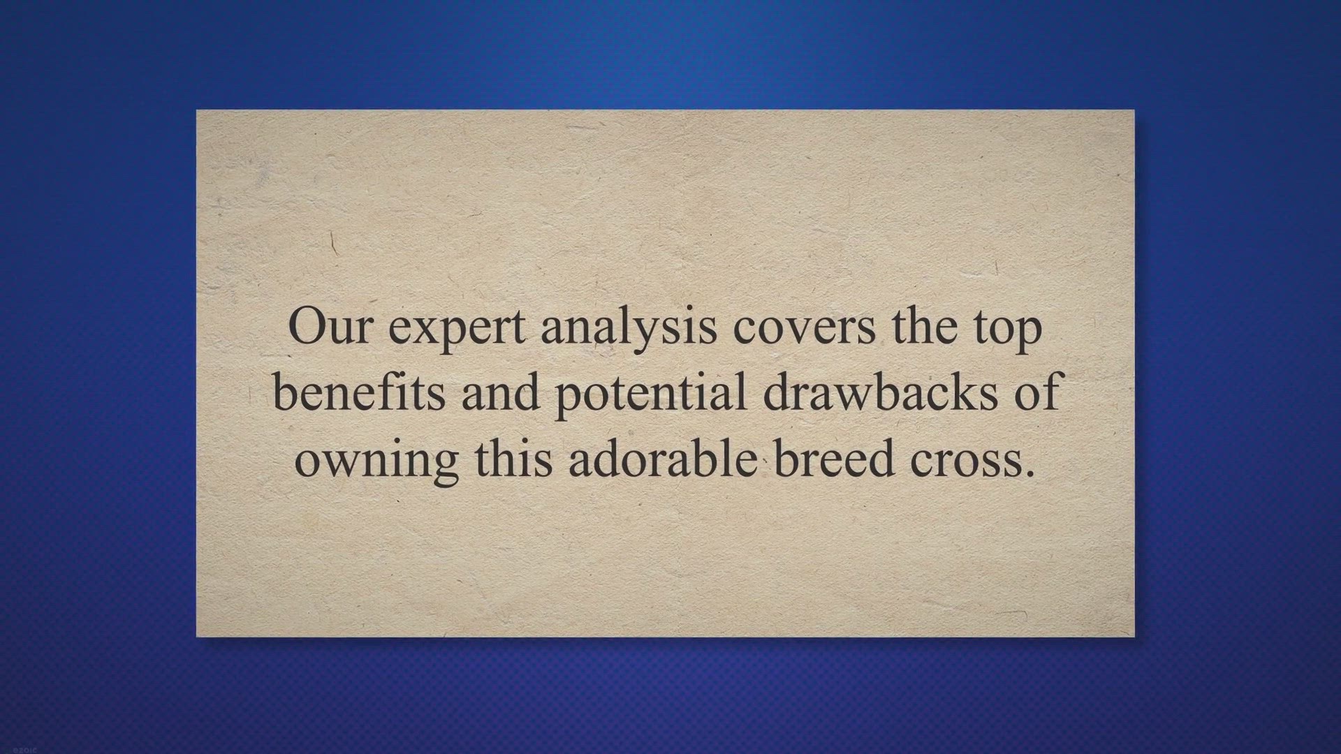 Video thumbnail for Pros and Cons of Owning a Beagle Mixed Puppy